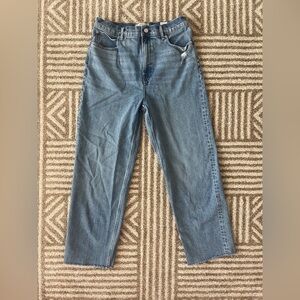 Like New Everlane The Way High Jean - Size 30